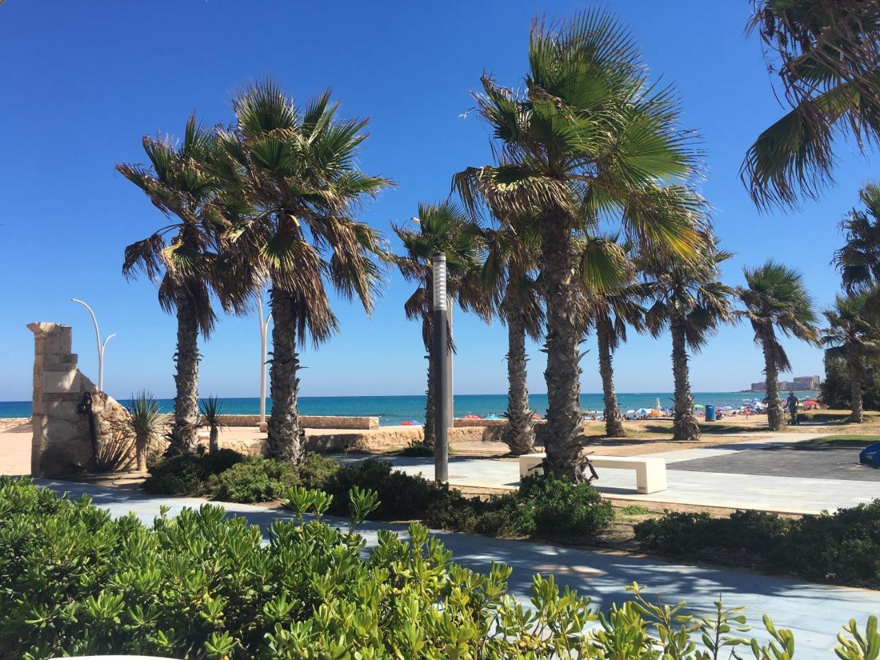 Ardi Casa Apartment La Mata  Ngoại thất bức ảnh